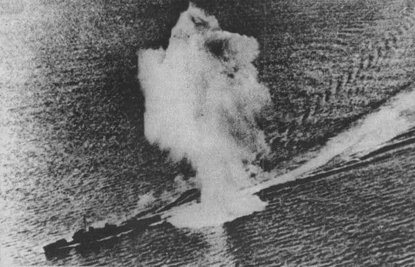 大日本帝国海軍連合艦隊の駆逐艦【菊/Kiku】