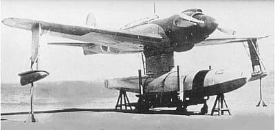 大日本帝国海軍連合艦隊の航空機【紫雲／水上偵察機】